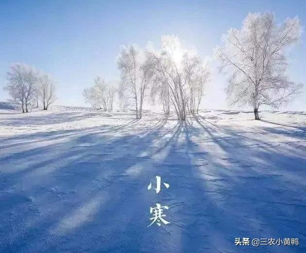 小寒快到了老农说小寒暖立春雪有道理吗小寒不寒吗