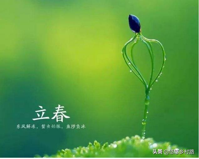 ecbbf7312ae945d18b110786b02860cf.jpeg