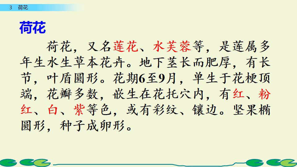 宅家语文课丨三年级下册第3课《荷花》(附课课练 答案,可下载)_课文
