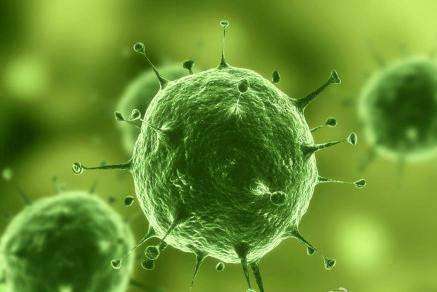 盘点那些年由动物病毒引发的疫情