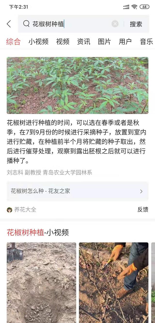 官方蜜芽人口_蓝原芽衣官方手机壁纸(3)