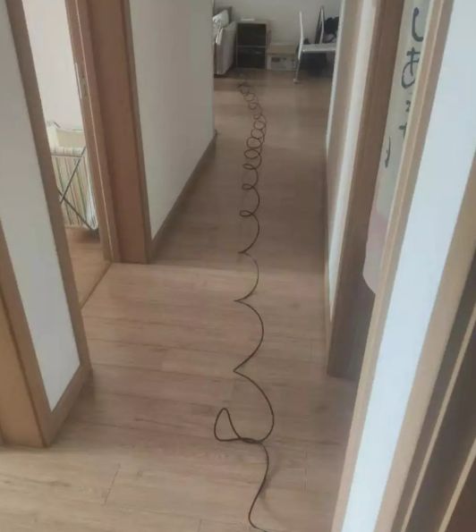 在家上班第3天，美颜办公出现了（图文）