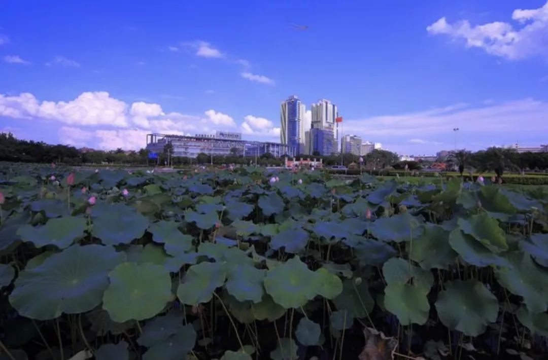 投在贵港智选亘德占位cbd中央商务区的中心高铁经济商圈核心坐享港北