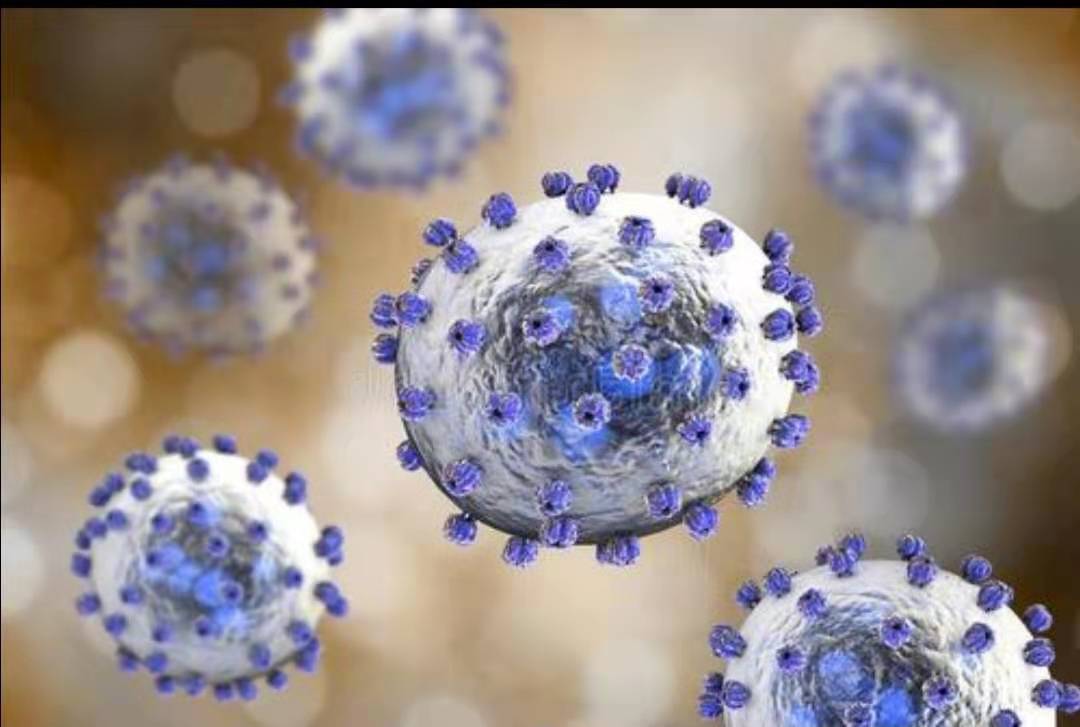 盘点那些年由动物病毒引发的疫情