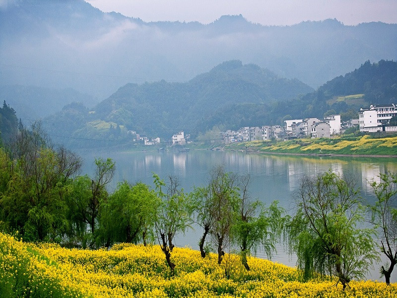 比漓江秀美,比三峡娇媚,初春走进新安江山水画廊