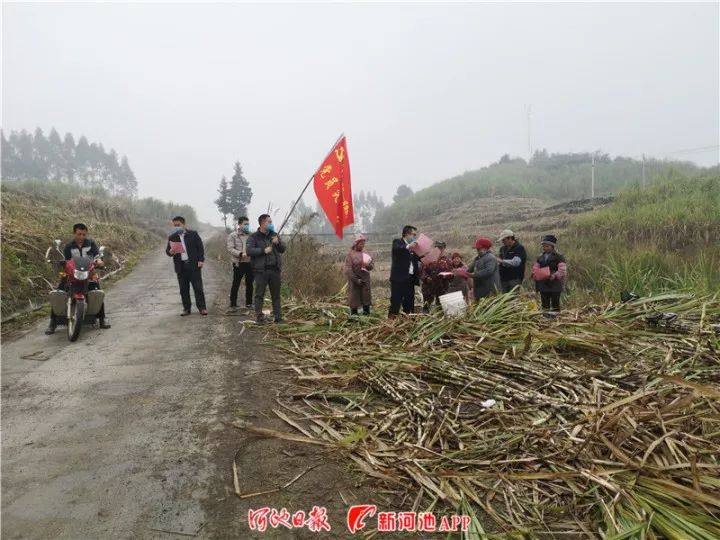 环江县有多少人口_恭喜武鸣 马山 都安 金城江 环江的朋友 贵南高铁要经过你