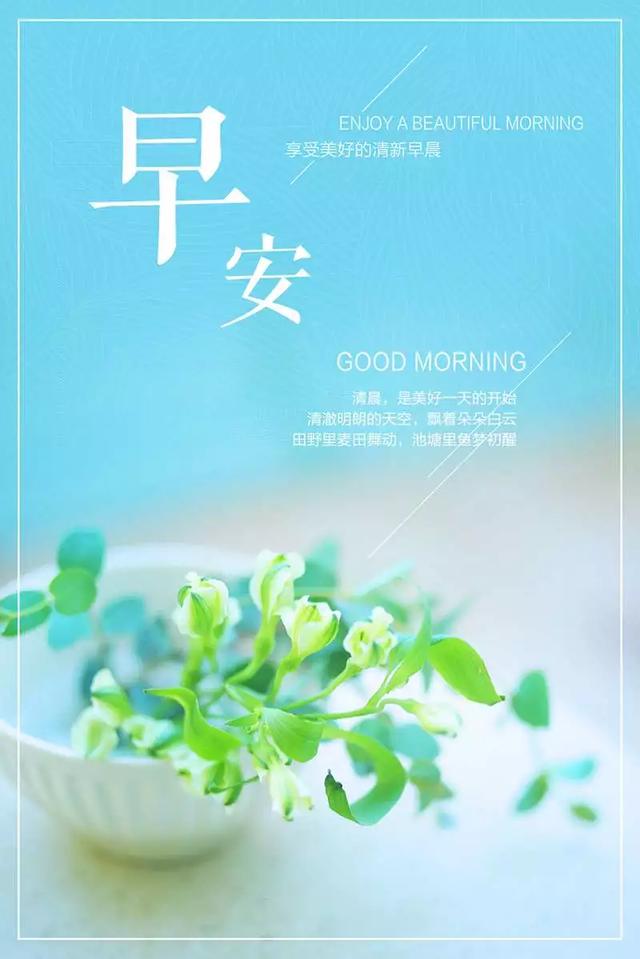 5a46b17ff6cd459ab35a38032db55af5.jpeg