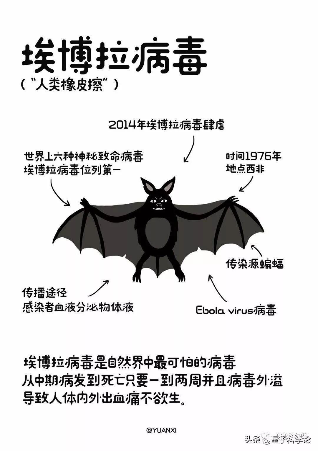 物理漫画历年世界各地的瘟疫人们都是怎么战胜的漫画