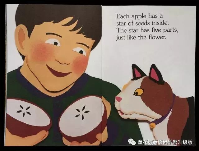 64767ad01d42405db892fa479043dbf5.jpeg
