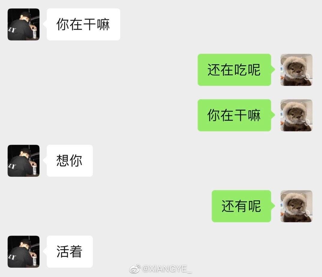 66cc8d19d4104cedab3e0dbb14f29513.jpeg