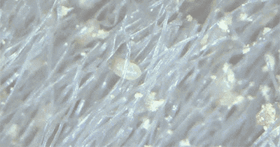 678a7bf9a13a43508905035dc36e0792.gif