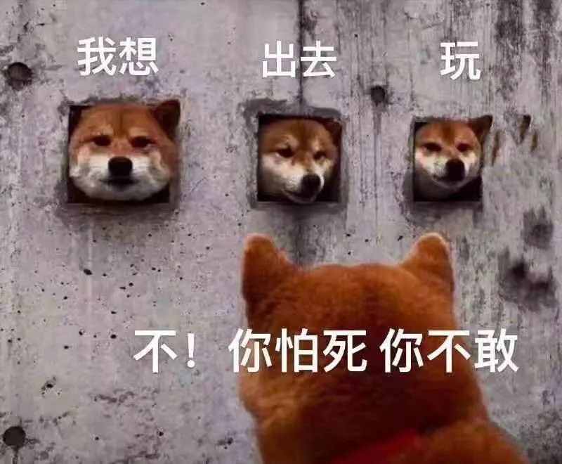 6e2c9fc4e06541e7bc0b5632d4fc72e5.jpeg