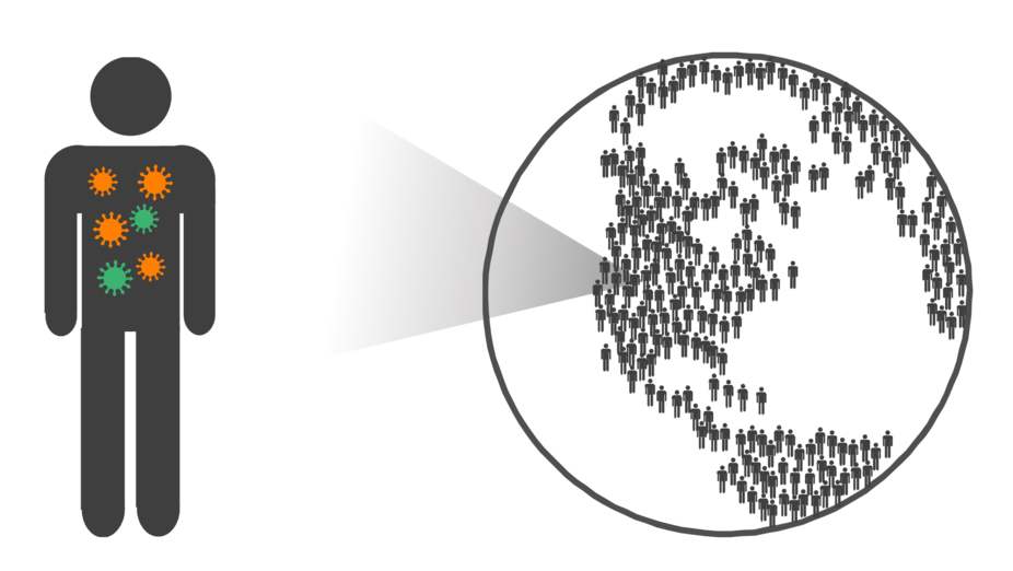 盘点那些年由动物病毒引发的疫情