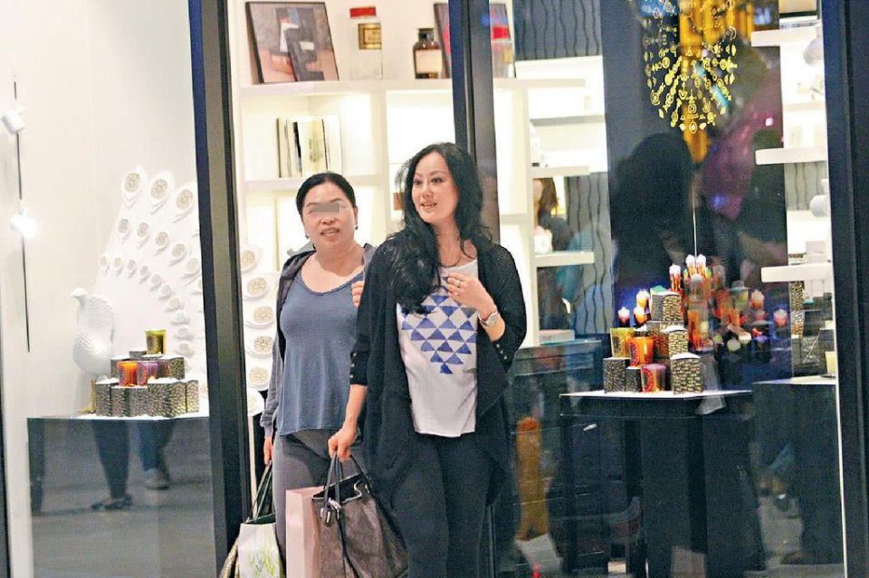 上世纪90年代,香港房地产行业迅速崛起,陈曜旻在章小蕙的建议下,斥资