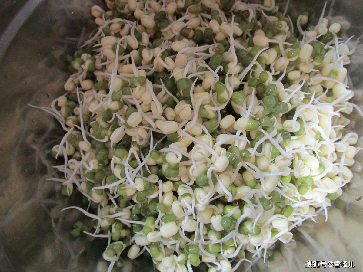 自己发绿豆芽一般几天能吃 889c310d2abc4621a100fee3389d73f1.jpeg