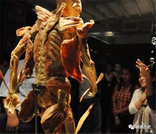 尼尼|最后一个纯种塔斯马尼亚女子遗言：别解剖我别展览我，但未能如愿