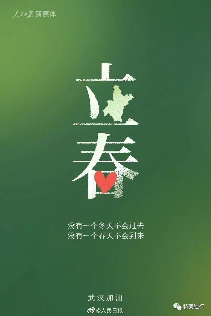95edf7d9fac345cf8311c0a9d71d310f.jpeg