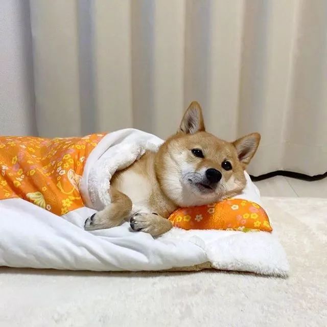 b3e7b12226be4b05949c441a2c0eea73.jpeg