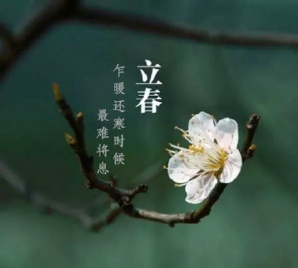 诗者联盟2465期庚子抗疫立春专辑