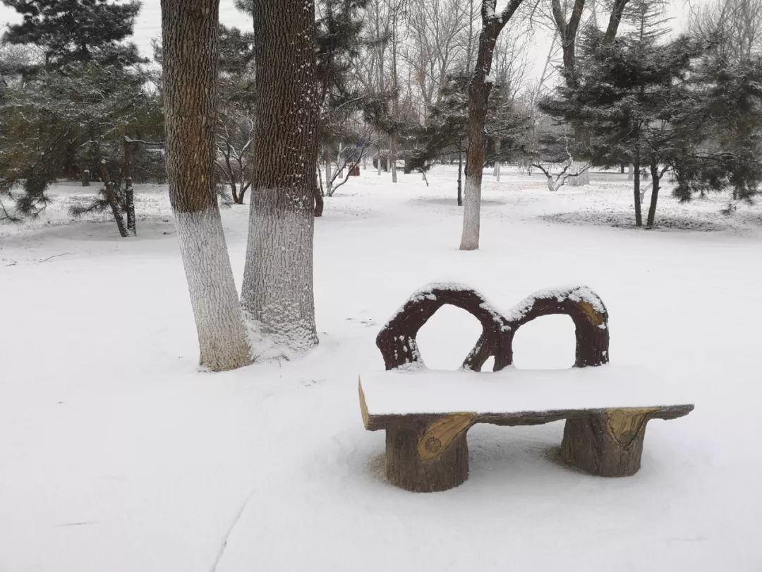 春日雪景|不用亲自出门 小窗为您送上阳光下的雪景