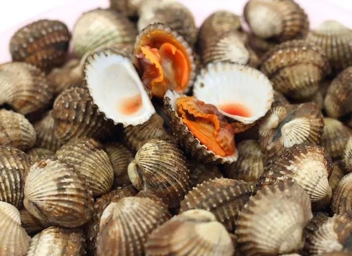 全世界上6种容易致死的危险"美食,你造吗?
