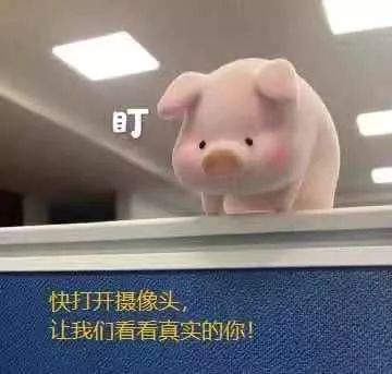 在家上班第3天，美颜办公出现了（图文）