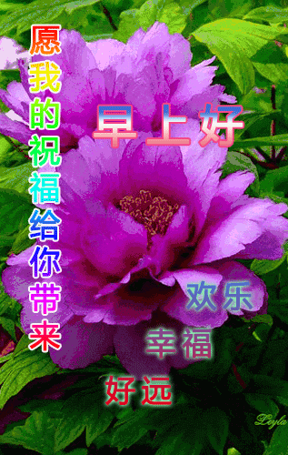 最新版早上好问候句子,朋友们大家好的动态图片,_祝福