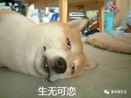 已经快疯了