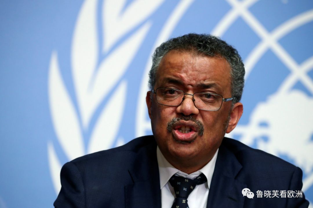 世界卫生组织总干事,是怎么选出来的?