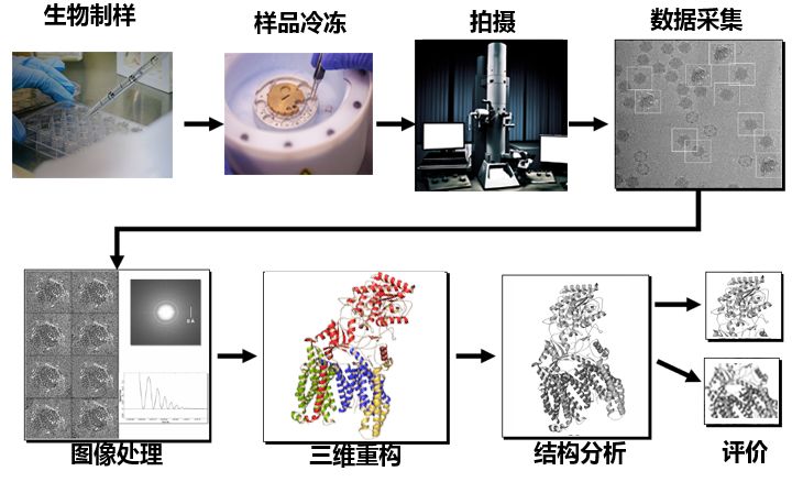 冷冻电镜的三维重构流程所以在实际应用中,我们收集到海量的全同颗粒