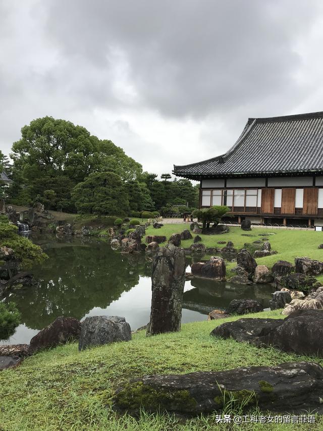 什么样的松树适合庭院 0b1c2ce13ed34336af353d710a82ee28.jpeg