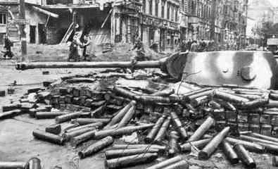 法国皇帝|世界史上著名的十大战役，中国两大战役上榜，第一实至名归