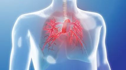 一篇读懂新冠病毒教你防护同时锻炼肺部保全家健康