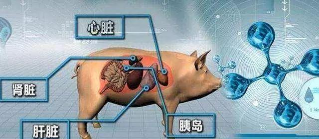 3f27d0a3ed0a42209c10332a2740f31d.jpeg