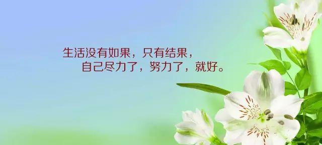 40a2f37310da4dcc9ce5b1383f9db4a1.jpeg