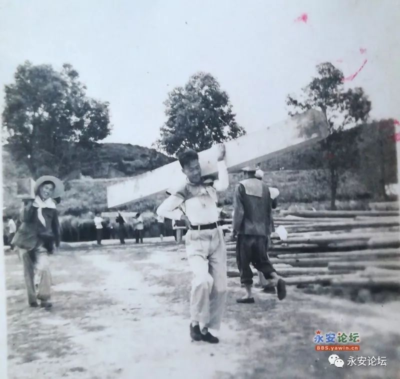 一组永安贮木场老照片 原来北塔以前长得这样