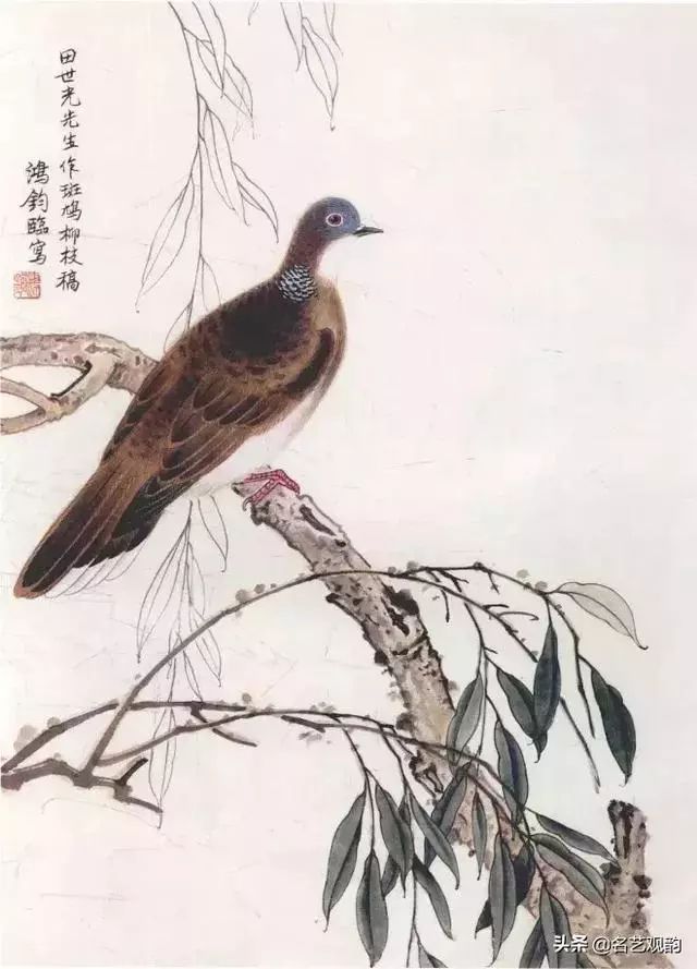 传统工笔禽鸟画法，真详细_搜狐网