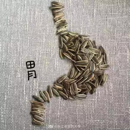 看看医学生无聊的时候都在干啥,嗑瓜子不忘复习解剖知识@浙江中医药