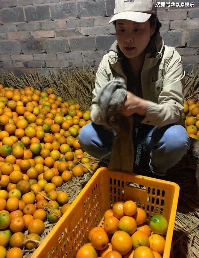 袁立消失2个月，刚出现又惹人争议，她用一个举