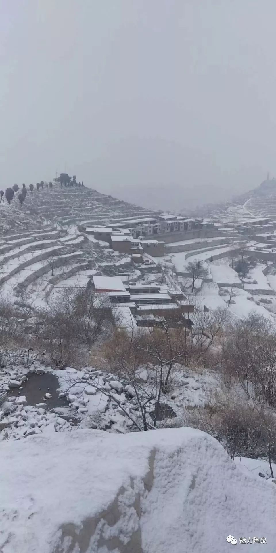 大山里的雪中坚守着一种信念:疫情不退,岗哨不退