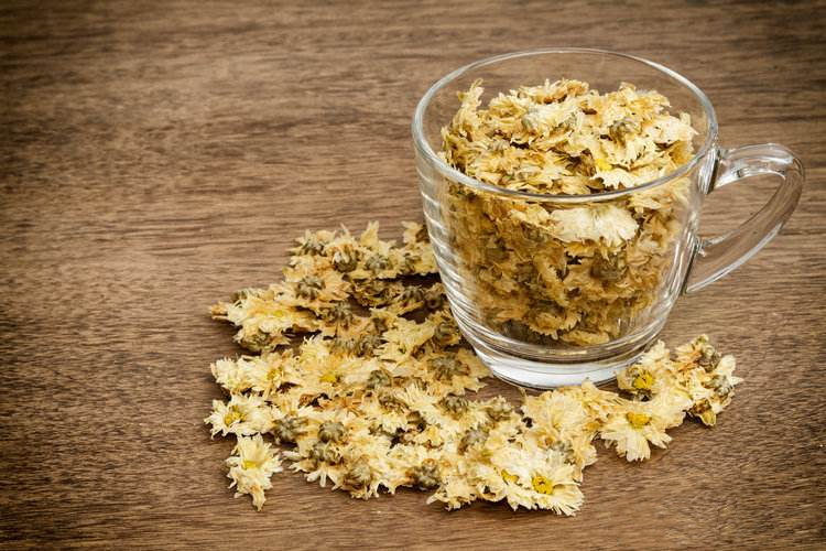 7cf1667d67e644b2ab056a848777c9dc.jpeg