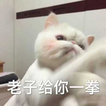 81938aacd802407f8f91a6e59c3b8b5c.jpeg