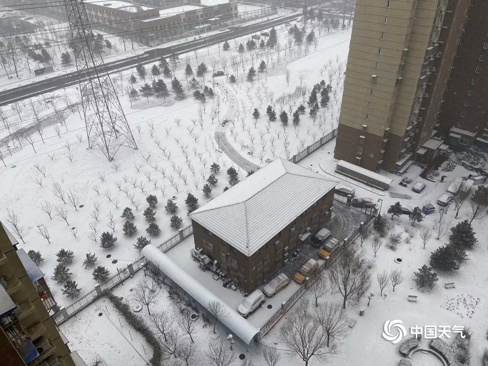 纷纷扬扬的大雪飘落北方,南方降温明显湿冷来袭;雨雪过后有大雾 重度