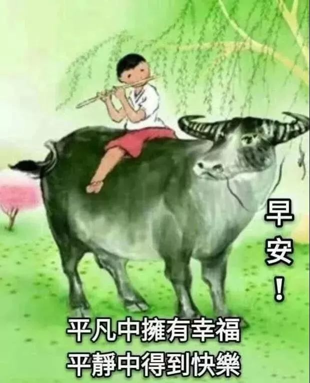 早上好问候祝福动态表情图片 早晨问候动态图片表情