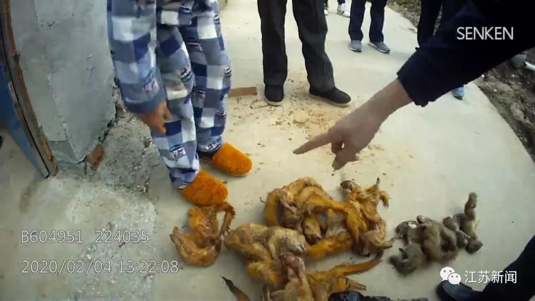 都啥时候了,他还在捕野味!家中冰柜查获黄鼬