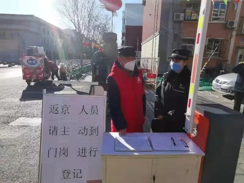返京人口比例_加拿大人口比例图