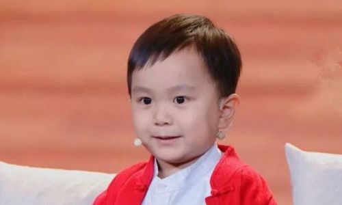 6岁神童王恒屹火了,天才诗童是如何练成的?