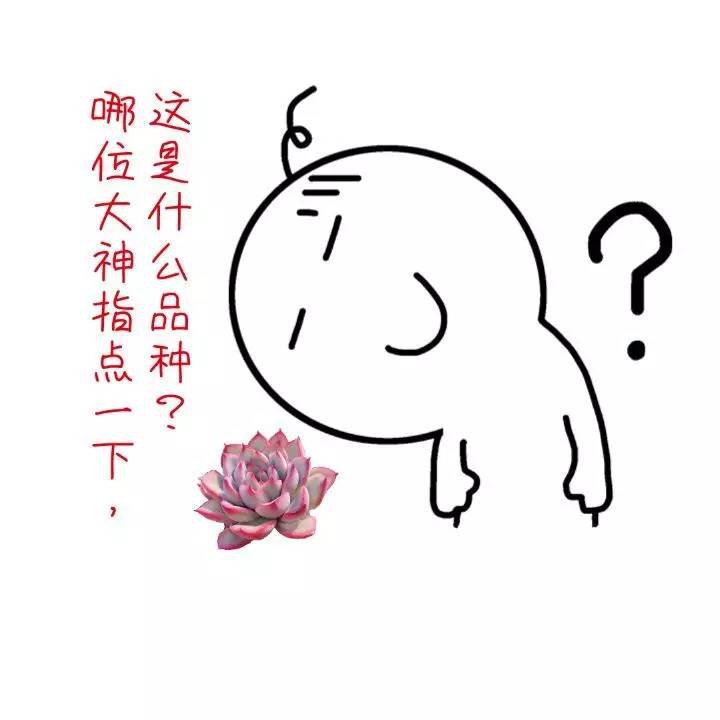『1去商店买东西,结账给老板100,老板说没2块零钱找,问我,他手里有张