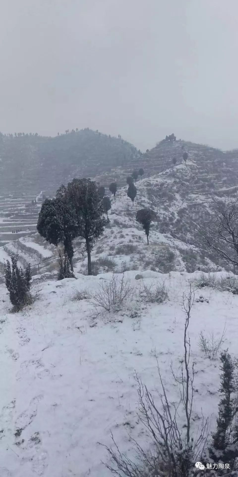 因为这场蔓延全国的肺炎整的人心惶惶朋友圈晒晒美丽的大山雪景可