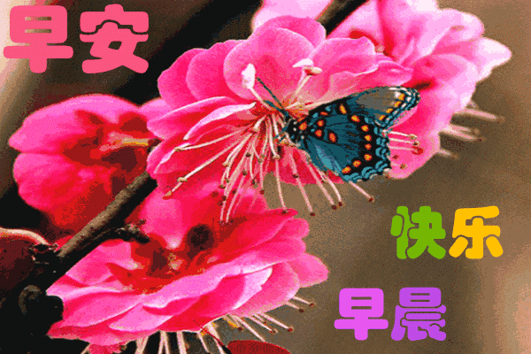 d7d1f7b3bc08473a87094c9715185a8a.gif